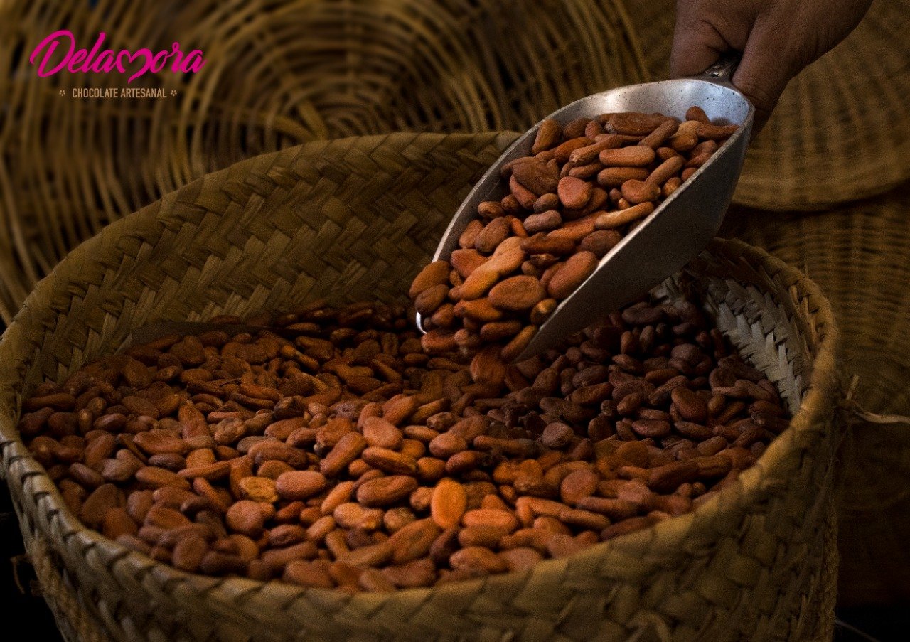 Chocolate Mexicano